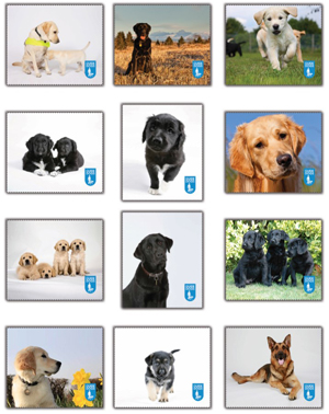 Guide Dog Cloths & Sprays